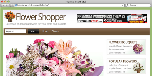 shopperpress theme